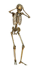 Image showing 3D Illustration Human Skeleton on White