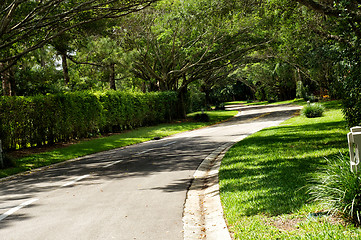 Image showing beautifully landscaped tree lined road