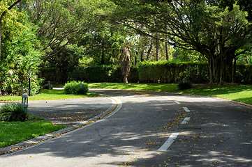 Image showing beautifully curving tree lined road