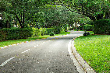 Image showing beautifully curving hedge lined road