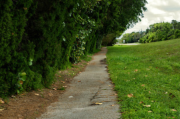 Image showing old paved pathway naples florida