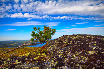 Image showing Mountain tundra in Lapland