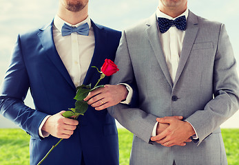 Image showing close up of happy male gay couple holding hands