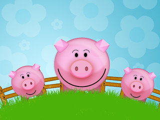 Image showing Pig