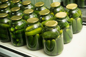 Image showing gurtsov conservation. Fresh cucumbers in jars