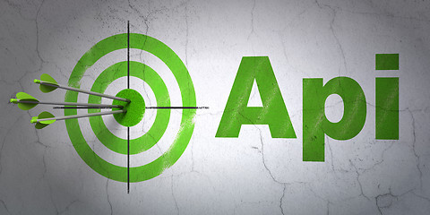 Image showing Software concept: target and Api on wall background