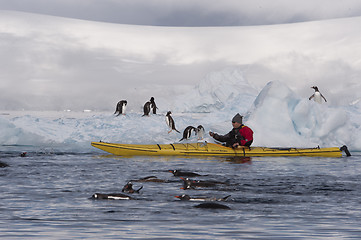 Image showing Icebergs in Antarctica