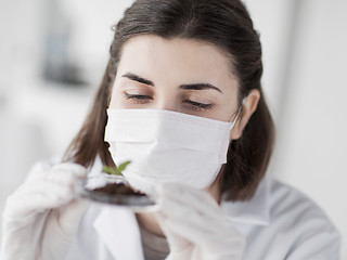 Image showing close up of scientist with plant and soil in lab
