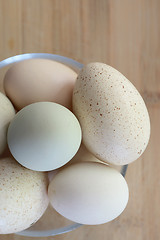Image showing Raw eggs in different colors and sizes