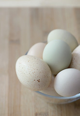 Image showing Raw eggs in different colors and sizes