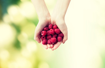 Image showing close up of woman hands holding raspberries