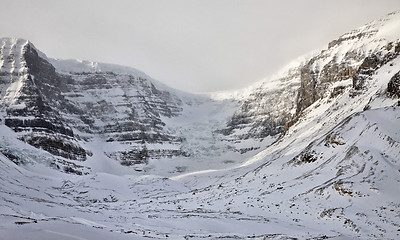 Image showing Columbia Icefields Alberta Rocky Mountains