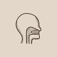 Image showing Human head with ear, nose, throat system sketch icon.