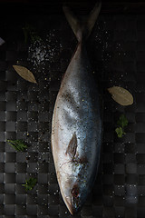 Image showing raw tuna fish