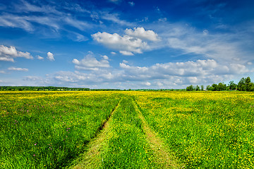 Image showing Spring summer - rural road in green field scenery lanscape