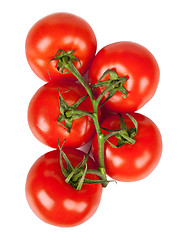 Image showing Branch of fresh tomatoes with water droplets isolated