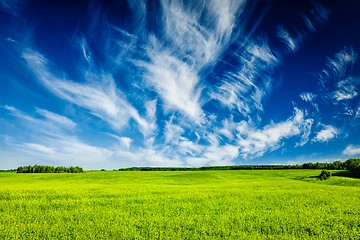 Image showing Spring summer green field scenery lanscape 