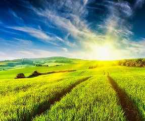 Image showing Rolling summer landscape