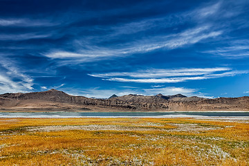 Image showing Mountain lake Tso Kar in Himalayas