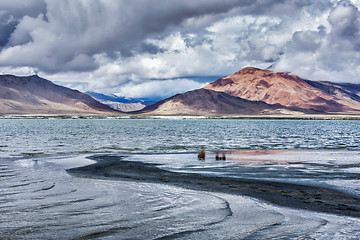 Image showing Mountain lake Tso Kar in Himalayas