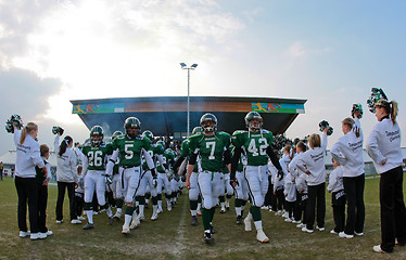 Image showing Danube Dragons vs. Vienna Vikings