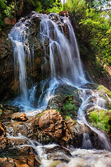 Image showing Tropical waterfal in jungle