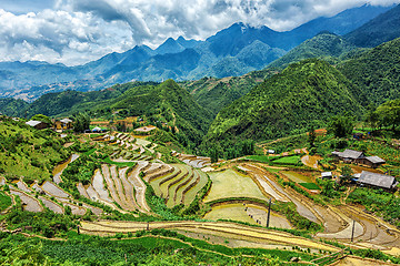 Image showing Rice field terraces. Near Sapa, Mui Ne