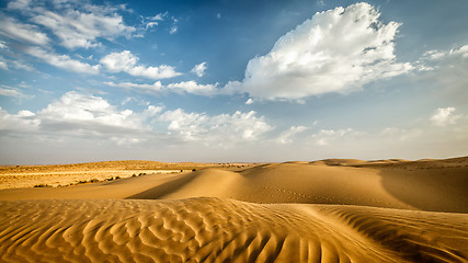 Image showing Dunes of Thar Desert, Rajasthan, India