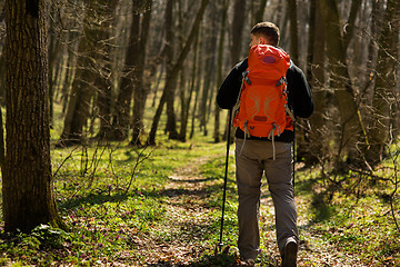 Image showing Male hiker looking to the side walking in forest