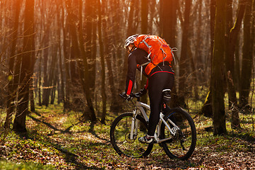 Image showing Rider in action at Freestyle Mountain Bike Session