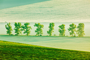 Image showing Moravian rolling landscape in early morning