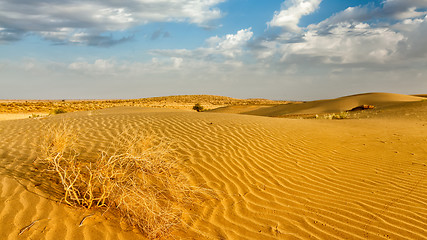 Image showing Dunes of Thar Desert, Rajasthan, India