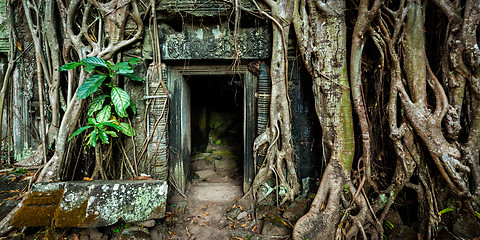 Image showing Ancient stone door and tree roots, Ta Prohm temple