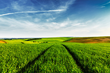 Image showing Green fields of Moravia