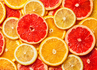 Image showing Colorful citrus fruit slices 