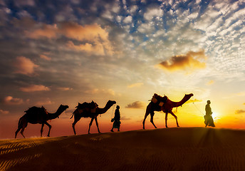 Image showing Two cameleers camel drivers with camels in dunes of Thar deser