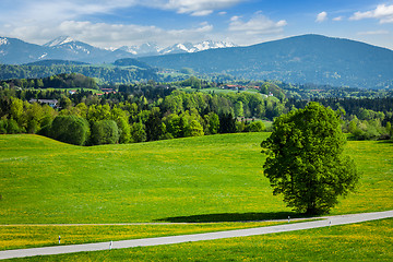 Image showing Road in pastoral countryside