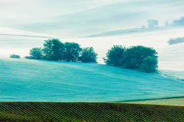 Image showing Rolling landscape of  South Moravia in the morning