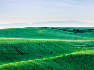 Image showing Moravia rolling landscape