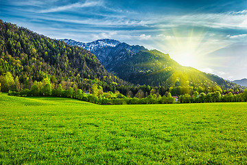 Image showing Alpine meadow in Bavaria,  Germany