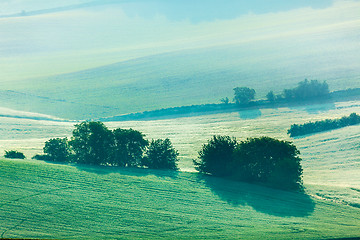 Image showing Moravian rolling fields in morning mist