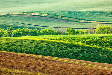 Image showing Moravian rolling landscape