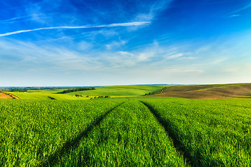 Image showing Green fields of Moravia