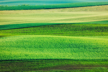 Image showing Abstract pattern of rolling fields