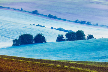 Image showing Rolling landscape of  South Moravia in the morning