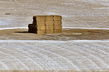 Image showing Hay in Field Winter