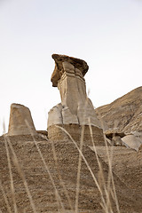 Image showing Badlands Alberta  hoo doo