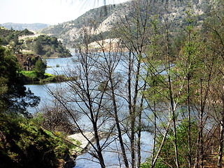 Image showing Lake behind the trees.