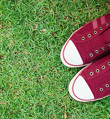 Image showing Shoes on Grass