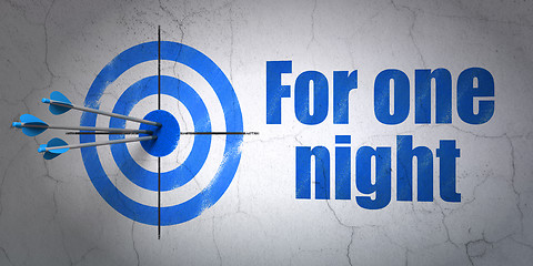 Image showing Tourism concept: target and For One Night on wall background